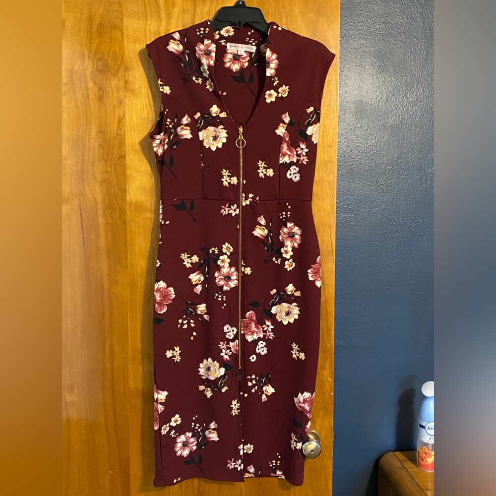Zip up dress - maroon in color. Gold zipper